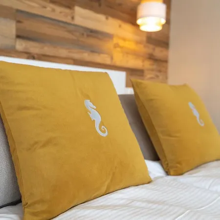 Konik Morski Pensionat Jastarnia