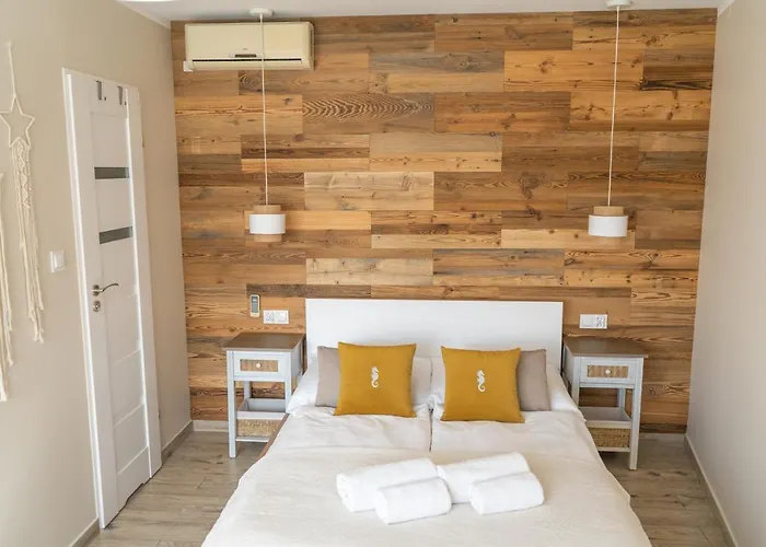 Konik Morski Jastarnia