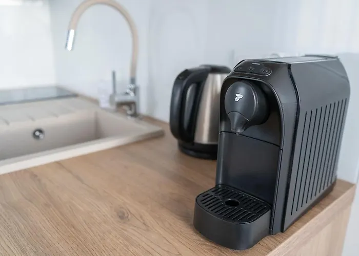 Konik Morski Jastarnia